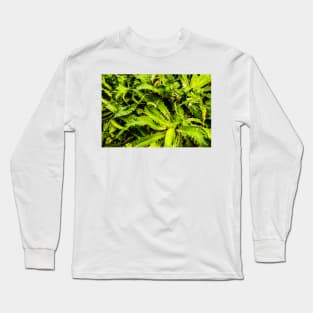 Spiky leaves Long Sleeve T-Shirt